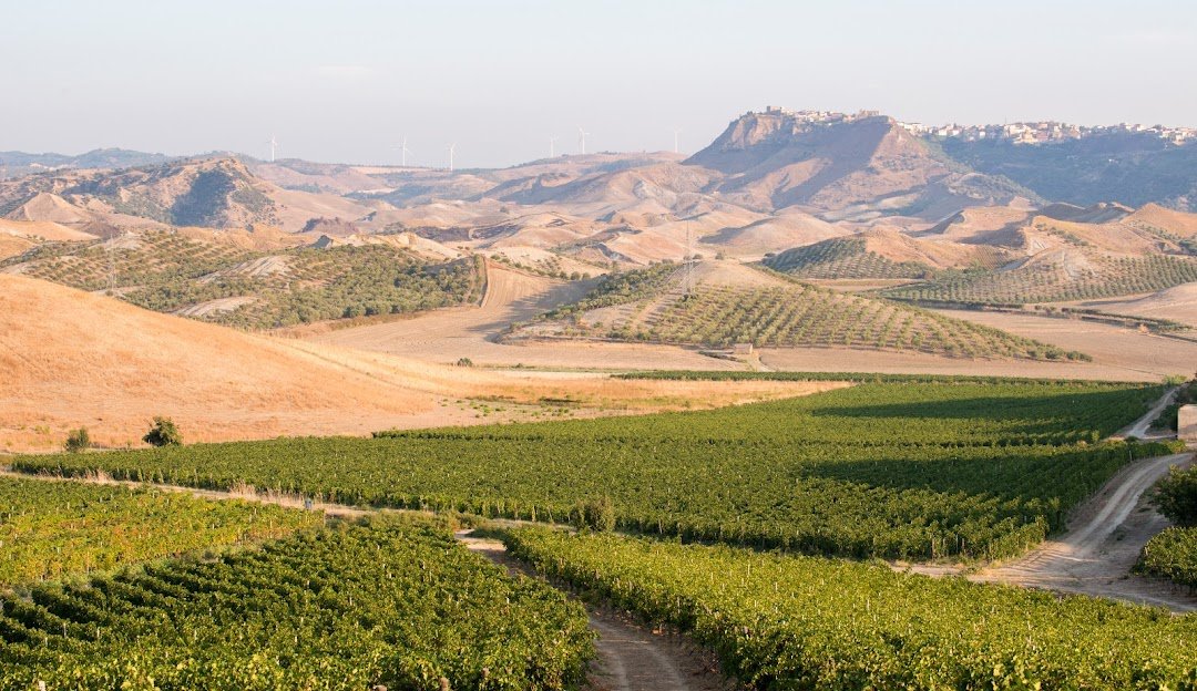 Cultura, tradizioni e calore